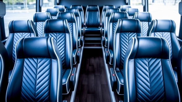 30 passenger minibus rental st clair shores