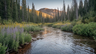 paint creek trail