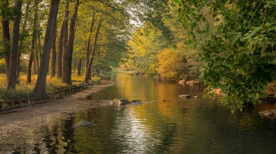 stony creek metropark